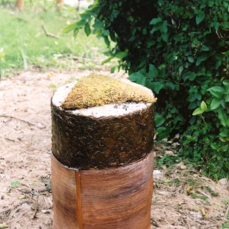 Stool of the South Island