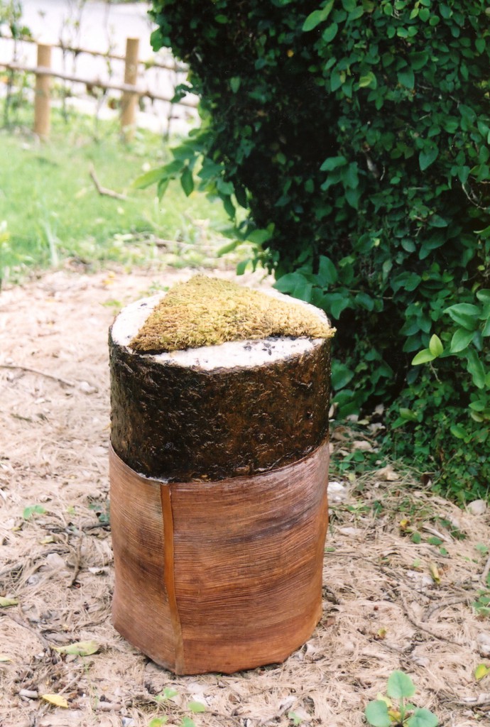 Stool of the South Island(2003)